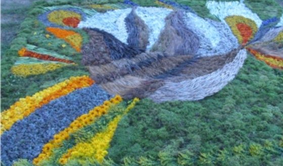 2010m.floristinių kilimų konkursas