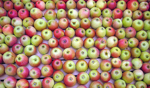 Kviečiame jungtis ilgiausios aukštaitiškos juostos dėlionei iš obuolių